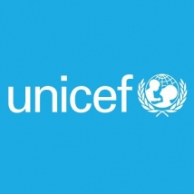 The United Nations Children's Fund (UNICEF)