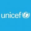 The United Nations Children's Fund (UNICEF)