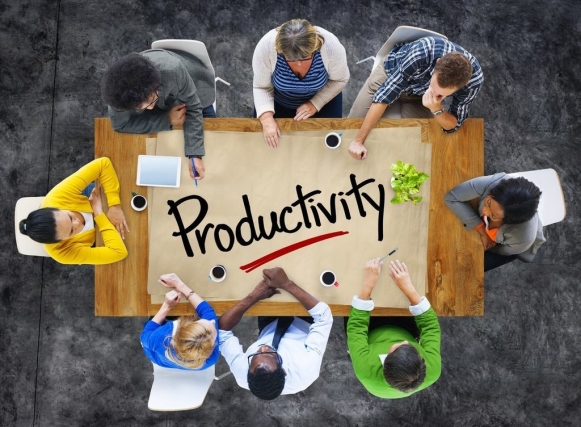 Employee Productivity as the HR Challenge
