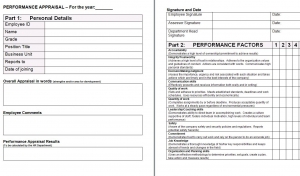 Peformance Appraisal Form