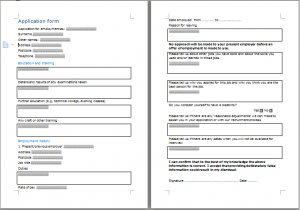 employees biodata form